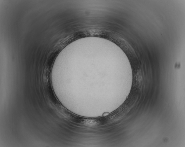 X0000097600218200803280959