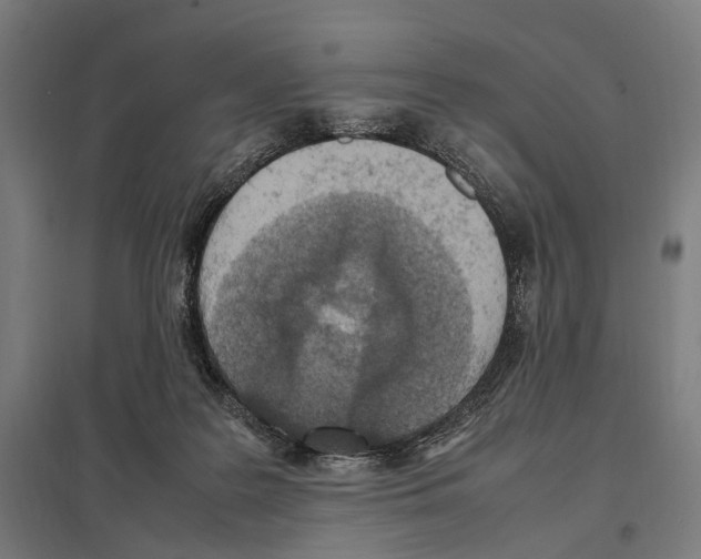 X0000097600219200803280959