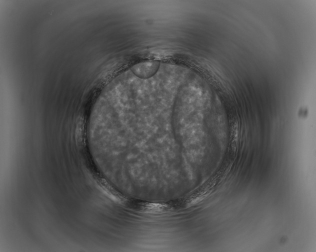 X0000097600222200803280959