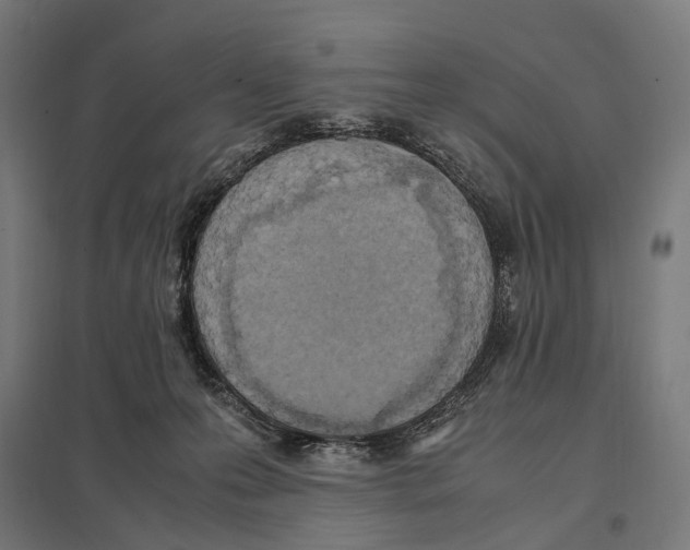 X0000097600223200803280959