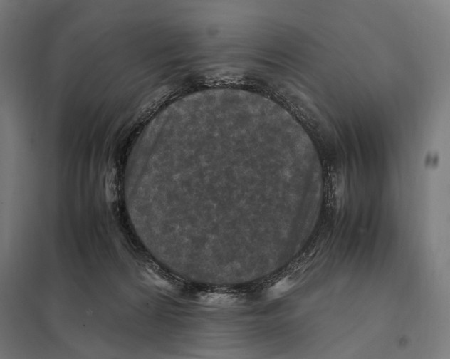 X0000097600224200803280959