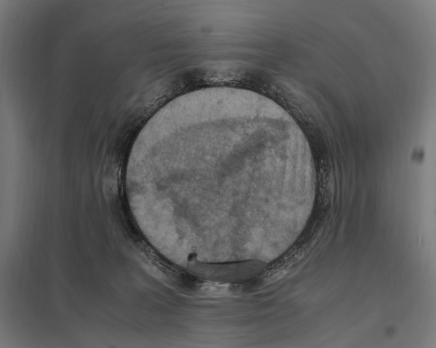 X0000097600227200803280959