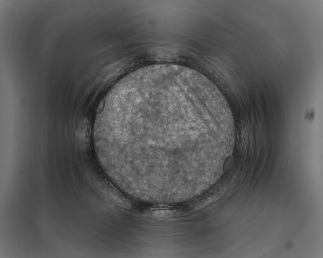 X0000097600228200803280959