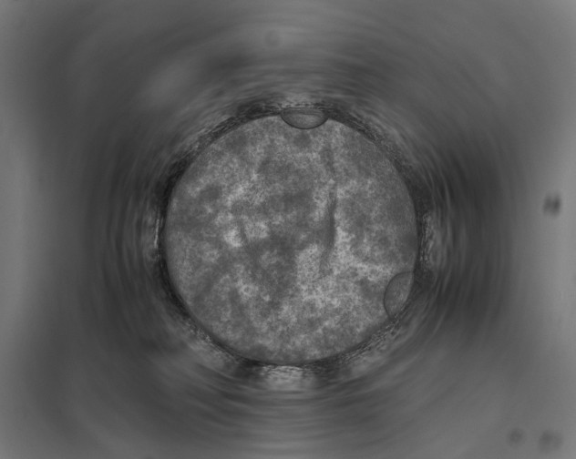 X0000097600230200803280959