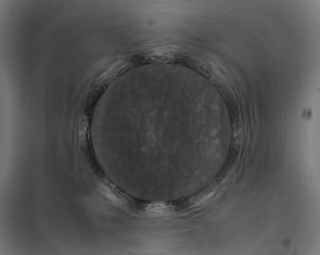 X0000097600231200803280958