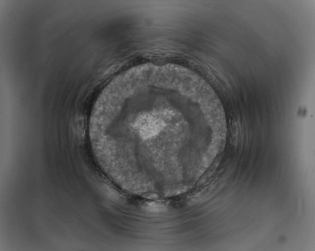 X0000097600232200803280958