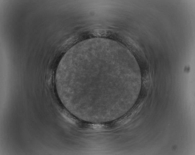 X0000097600233200803280958