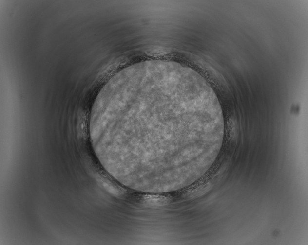 X0000097600234200803280958