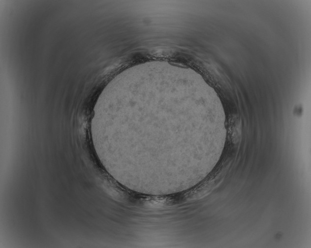 X0000097600235200803280958