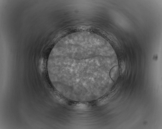 X0000097600236200803280958