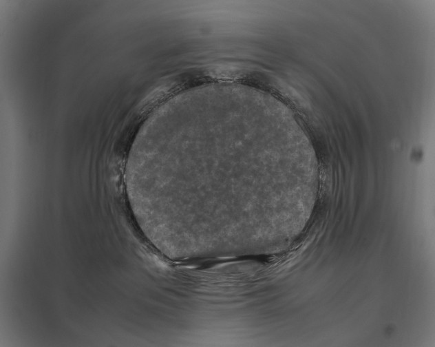 X0000097600237200803280958