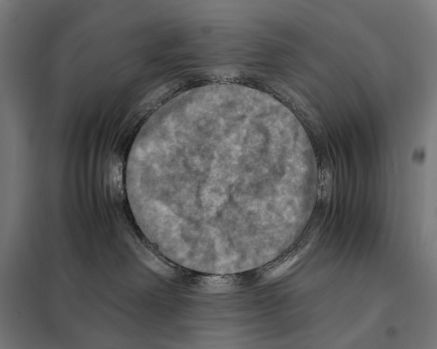 X0000097600238200803280958