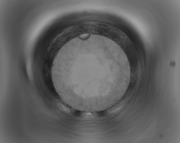 X0000097600239200803280958