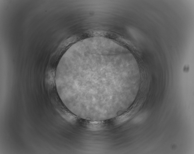 X0000097600240200803280958