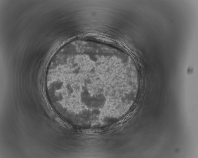 X0000097600241200803280957