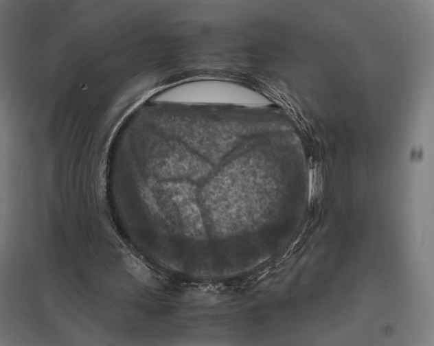 X0000097600243200803280957