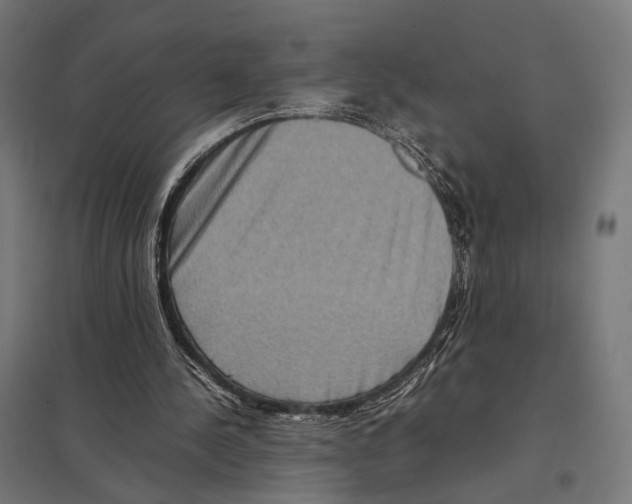 X0000097600244200803280957