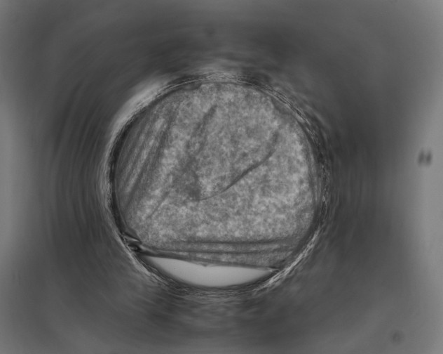 X0000097600245200803280957