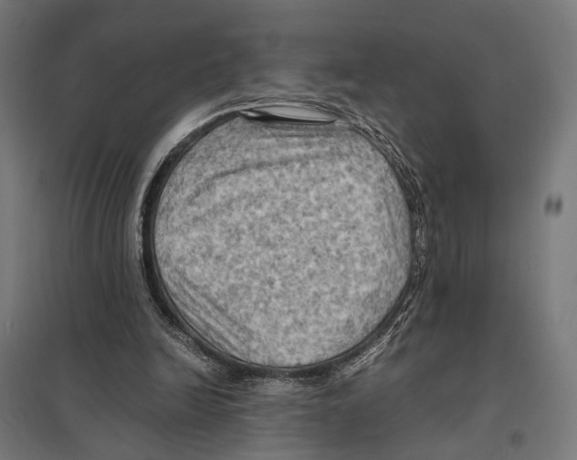 X0000097600246200803280957