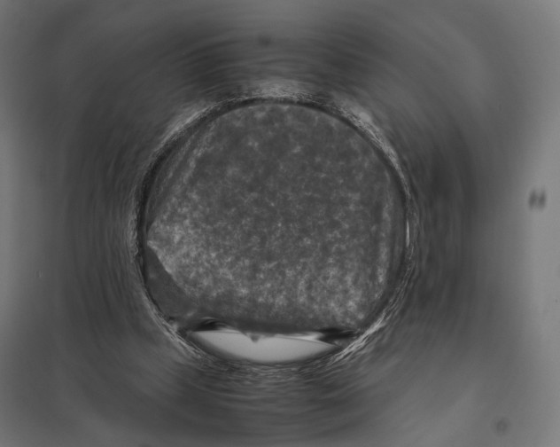 X0000097600249200803280957