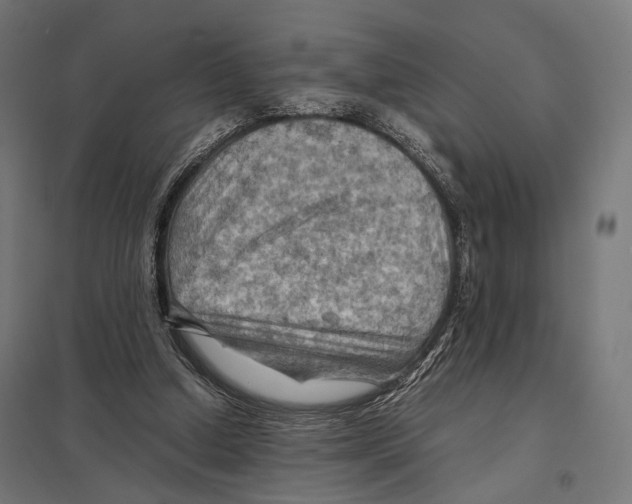 X0000097600250200803280957