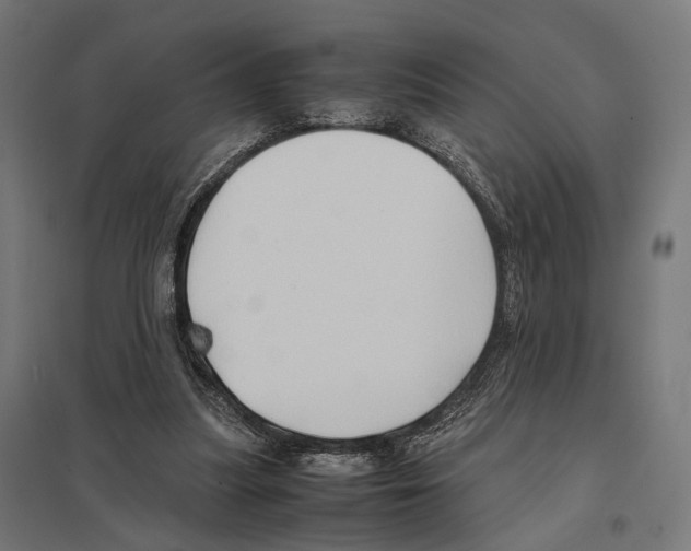 X0000097600251200803280958