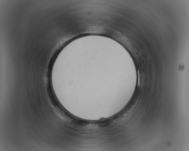 X0000097600252200803280958