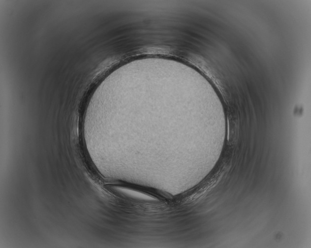 X0000097600253200803280958