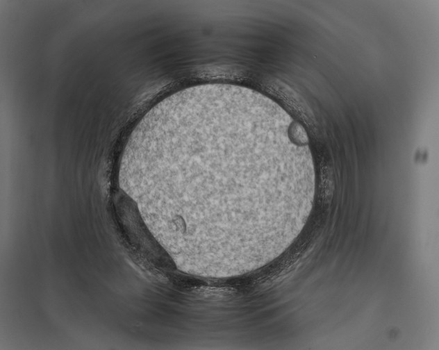 X0000097600255200803280958