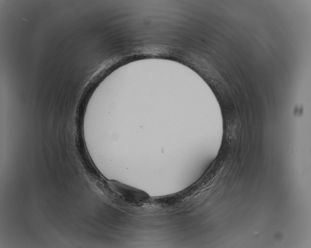 X0000097600256200803280958