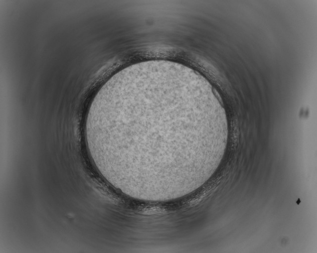 X0000097600258200803280958