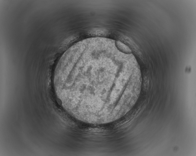 X0000097600259200803280958