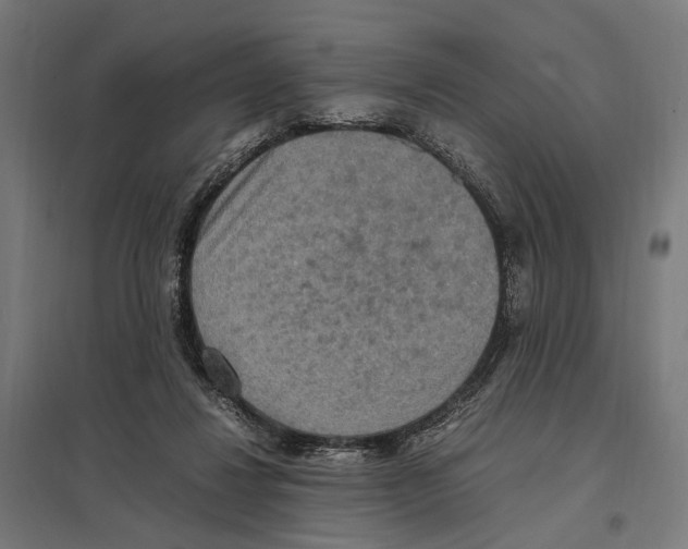 X0000097600260200803280958