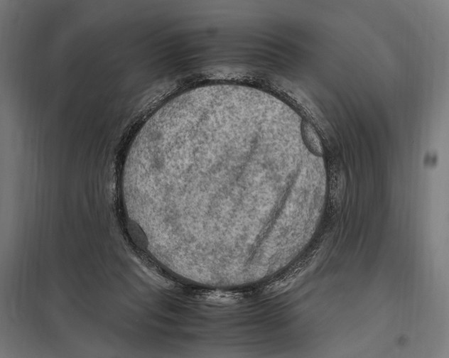 X0000097600261200803280958