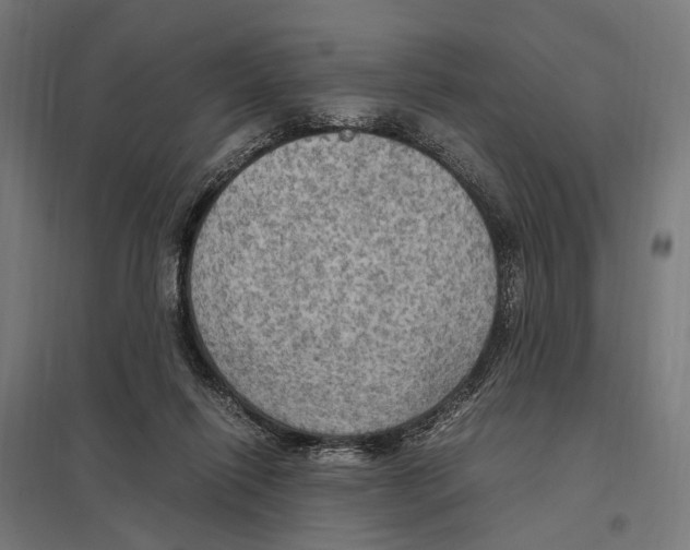 X0000097600262200803280958