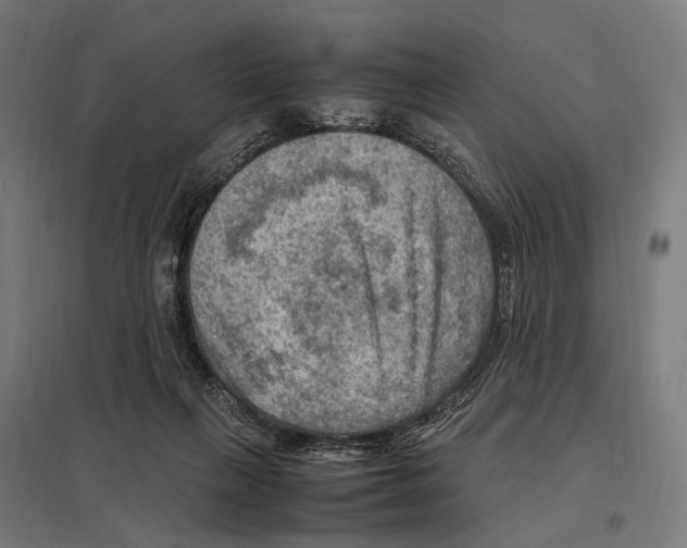 X0000097600263200803280958