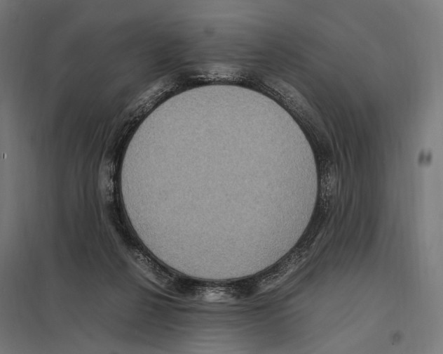 X0000097600264200803280958