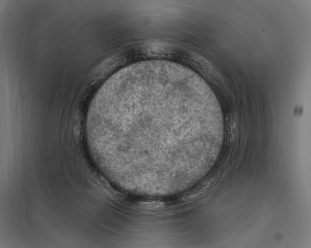 X0000097600266200803280958