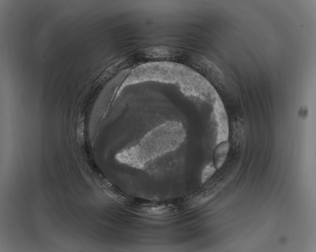 X0000097600267200803280958