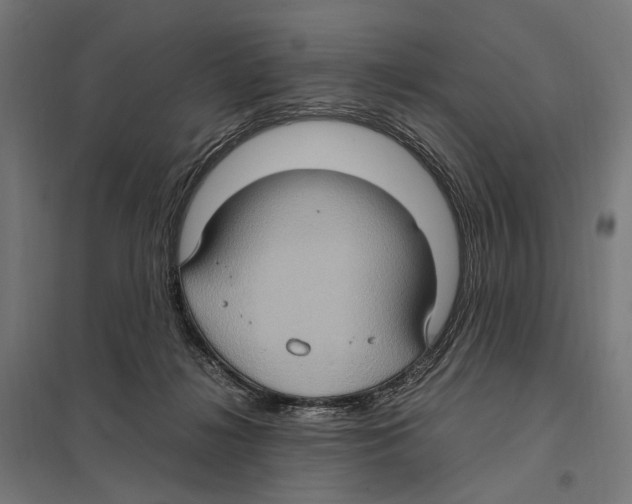 X0000097600268200803280958