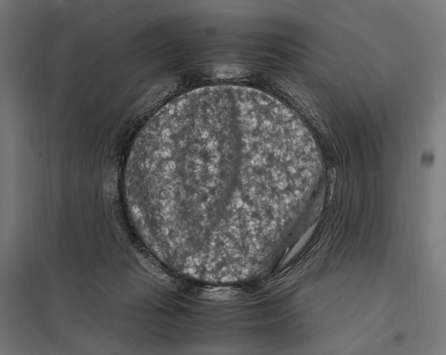 X0000097600269200803280958