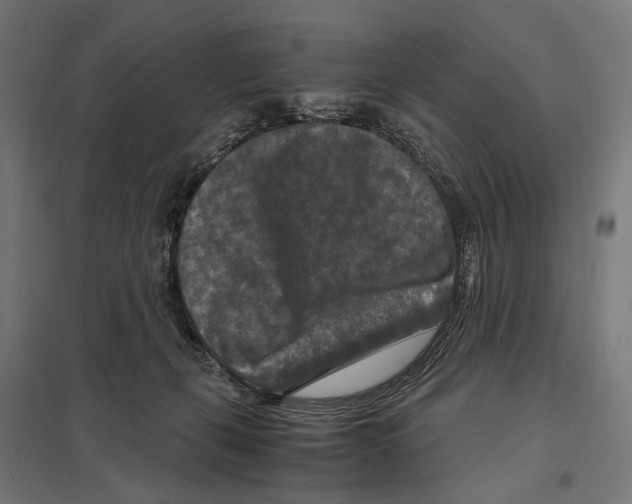 X0000097600271200803280958