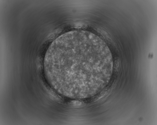 X0000097600272200803280958