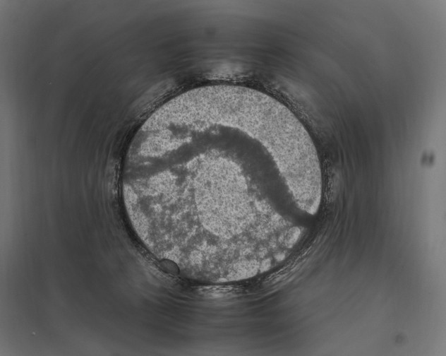 X0000097600273200803280958