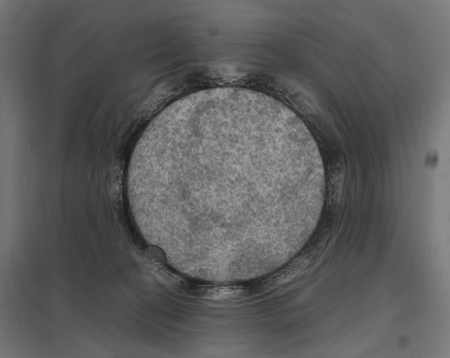 X0000097600274200803280958