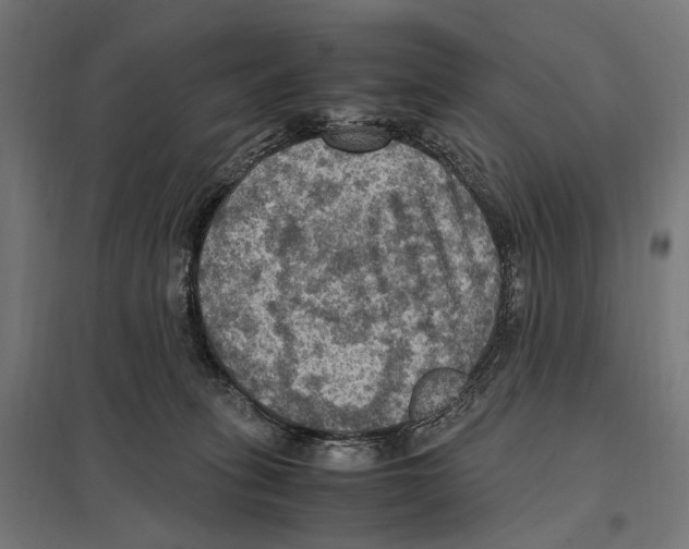 X0000097600275200803280958