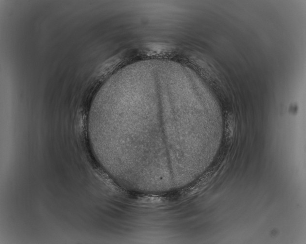 X0000097600276200803280958