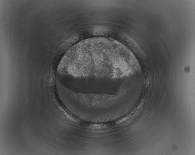 X0000097600277200803280958