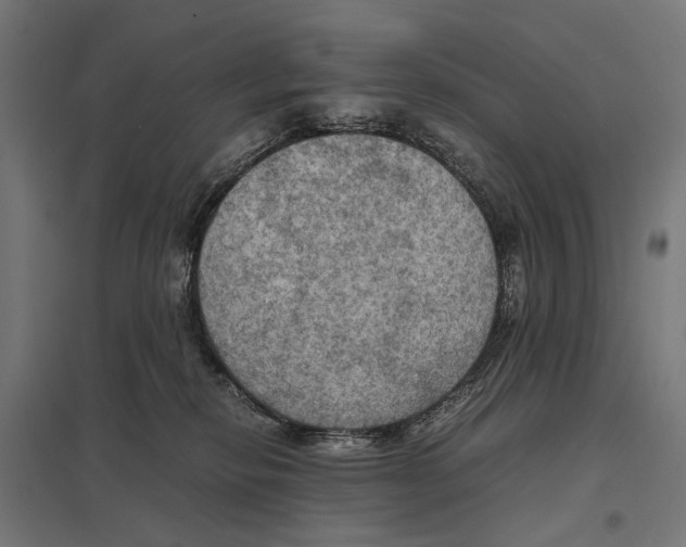 X0000097600278200803280958