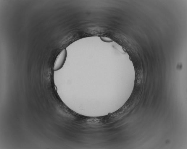 X0000097600279200803280958